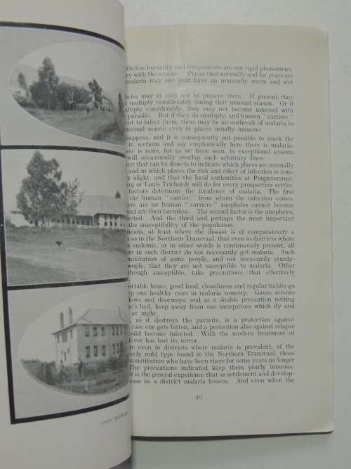 Pietersburg &the Northern Transvaal -An Illustrated Handbook on the Agricultural, Residential...1924