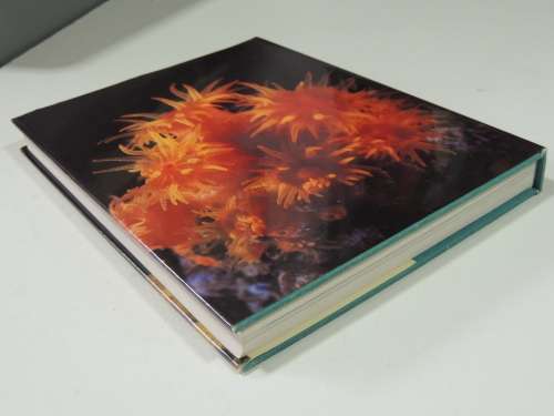 The Living Shores of Southern Africa - Margo & George Branch