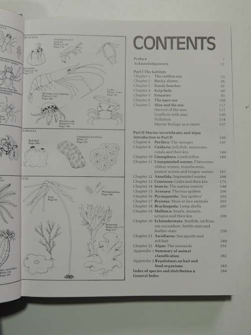 The Living Shores of Southern Africa - Margo & George Branch