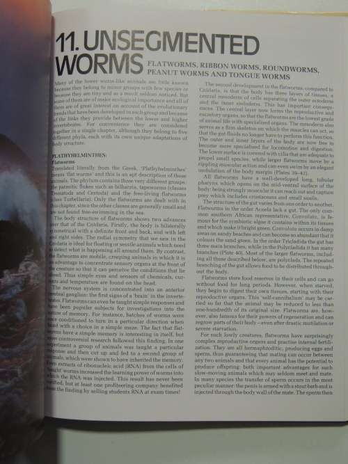 The Living Shores of Southern Africa - Margo & George Branch