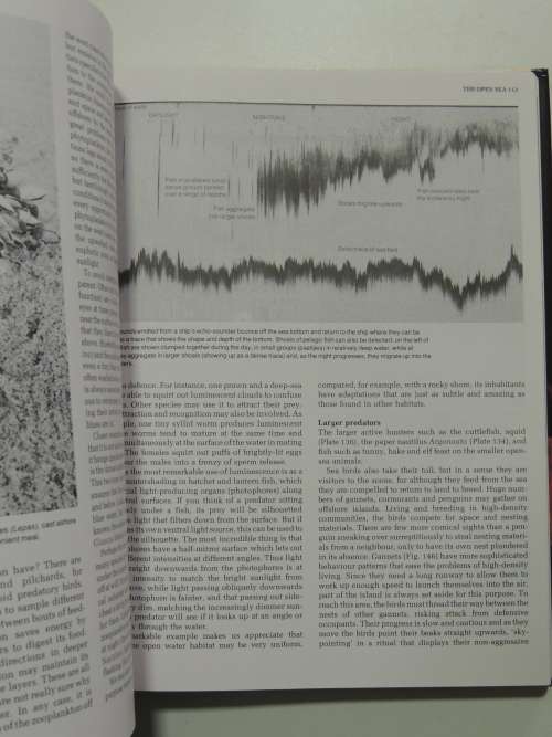 The Living Shores of Southern Africa - Margo & George Branch