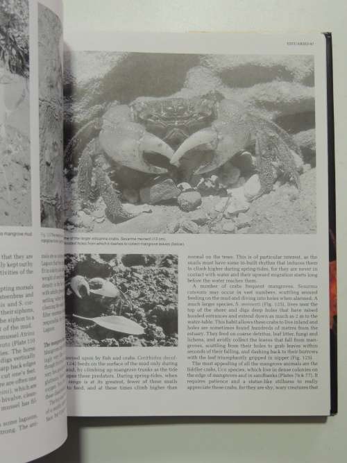 The Living Shores of Southern Africa - Margo & George Branch