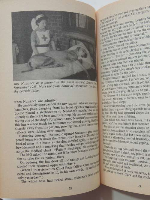 Just Nuisance AB - His Full Story - Terence Sisson 1987