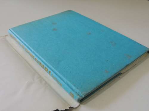 Airmen Of World War 1 - Men Of The British And Empire Air Forces In Old Photographs - Chaz Bowyer