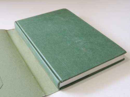 Curative Eduaction, Lectures 1924 - Rudolf Steiner