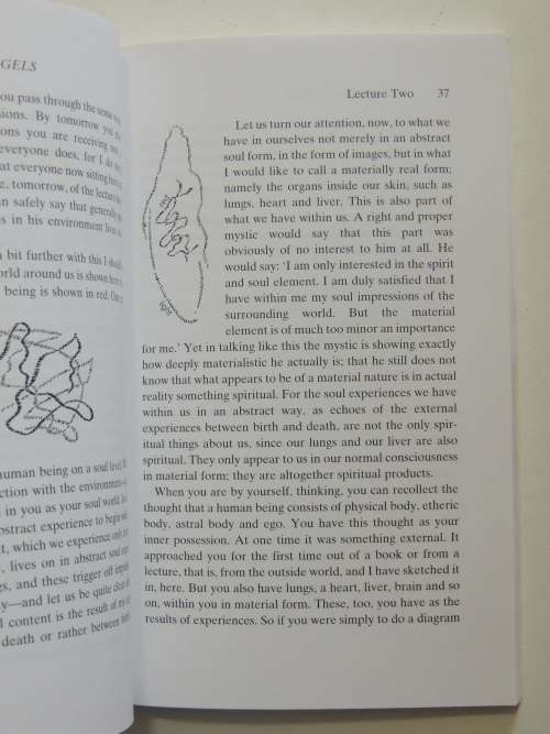 Guardian Angels - Connecting with our Spiritual  Guides nd Helpers - Rudolf Steiner