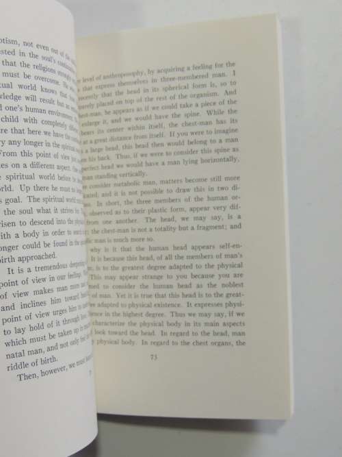 Education as a Social Problem, Lectures 1919 - Rudolf Steiner