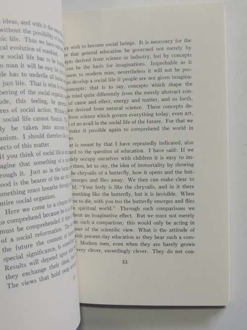 Education as a Social Problem, Lectures 1919 - Rudolf Steiner