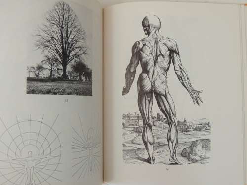 Sun  Space - Science at a Threshold of Spiritual Understanding - Olive Whicher