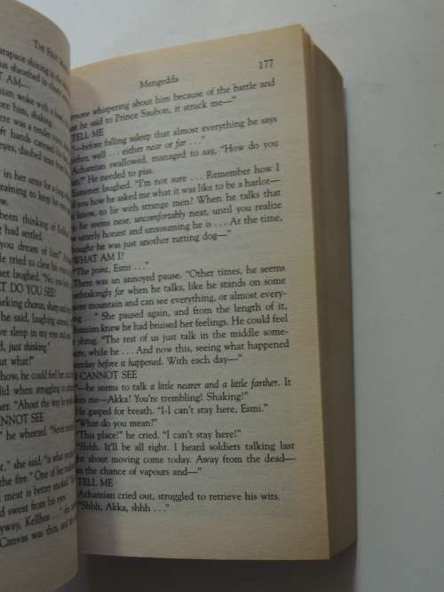 The Warrior Prophet - The Prince of Nothing Book 2 -  R Scott Bakker