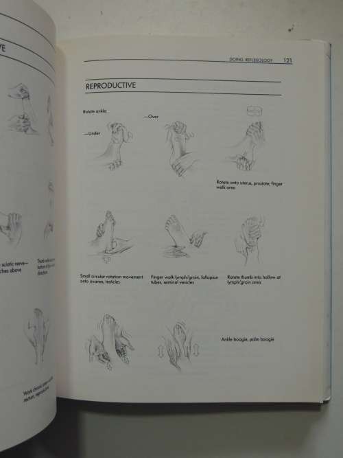 The Reflexology Handbook - A Complete Guide Laura Norman, Thomas Cowan