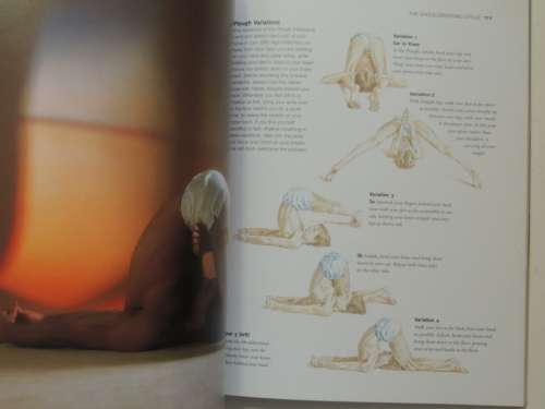 The Sivananda Companion to Yoga,Physical Postures, Breathing, Meditation - The Sivananda Yoga Center