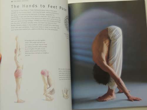 The Sivananda Companion to Yoga,Physical Postures, Breathing, Meditation - The Sivananda Yoga Center