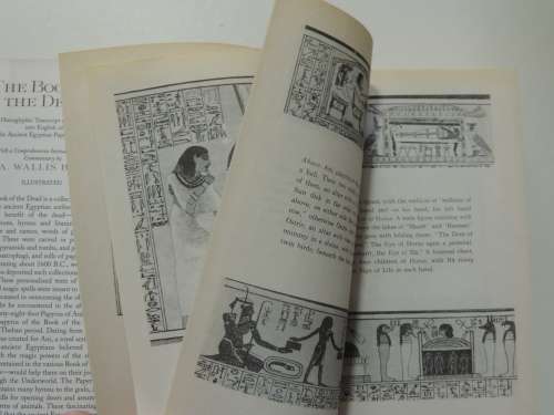 The Book of the Dead, The Hieroglyphic Transcript & Translation into Englishof the Ancient Egyptian