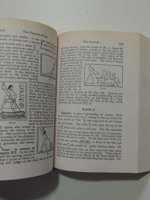 The Book of the Dead, The Hieroglyphic Transcript & Translation into Englishof the Ancient Egyptian