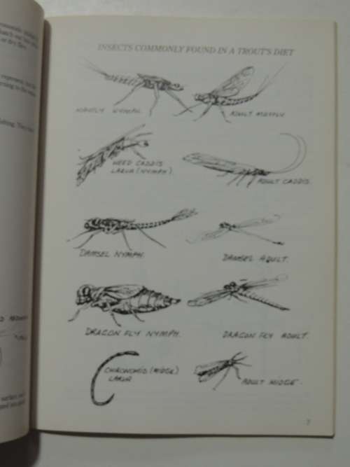 Introducing Fly-Tying - A Beginner`s Guide To Fly-Tying For South African Conditions - Tom Sutcliffe
