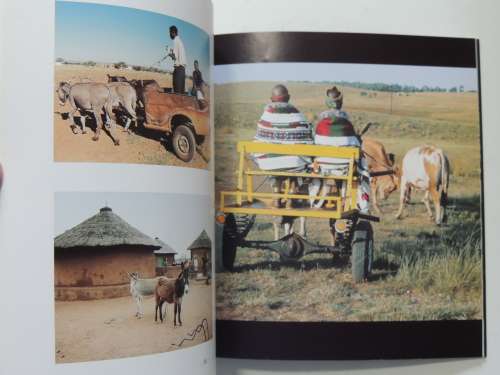 Homesteads - Peter Magubane