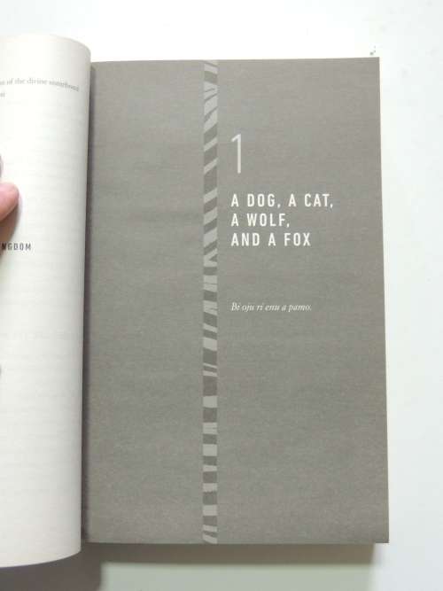 Black Leopard Red Wolf - Vol 1 of the Dark Star Trilogy- Marlon James