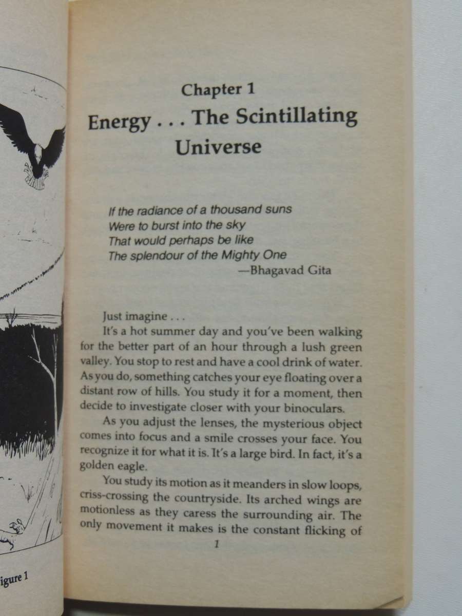 Life Force, The Secret Power Behind Miracle Healing, Martial Arts & Occult Magic - Leo F Ludzia