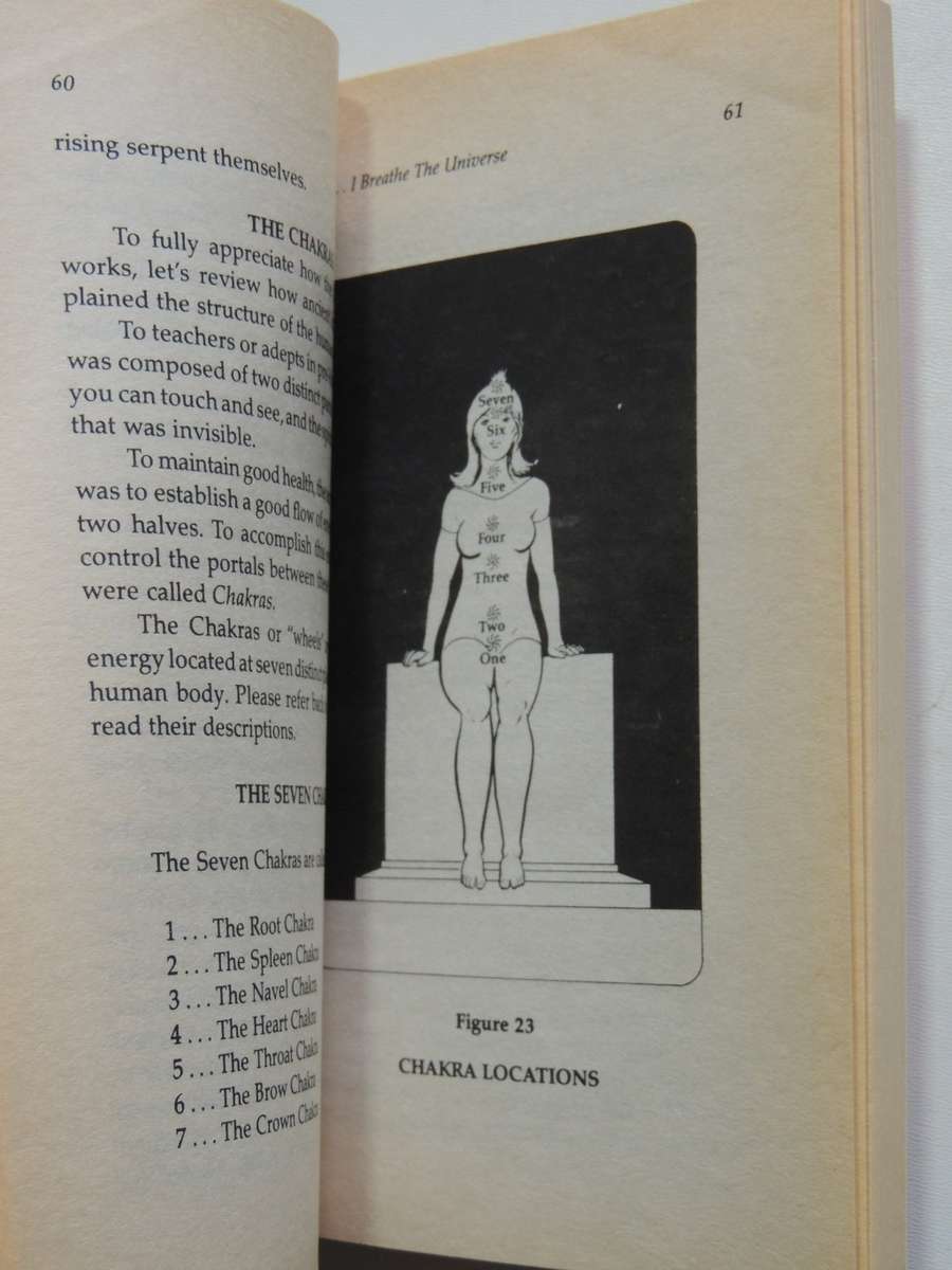 Life Force, The Secret Power Behind Miracle Healing, Martial Arts & Occult Magic - Leo F Ludzia