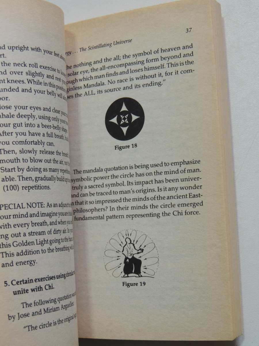 Life Force, The Secret Power Behind Miracle Healing, Martial Arts & Occult Magic - Leo F Ludzia