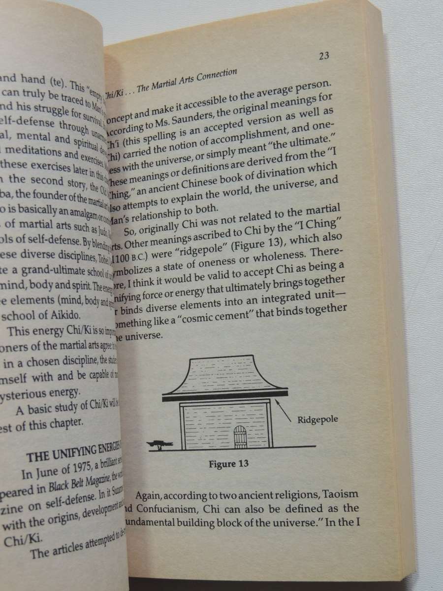 Life Force, The Secret Power Behind Miracle Healing, Martial Arts & Occult Magic - Leo F Ludzia