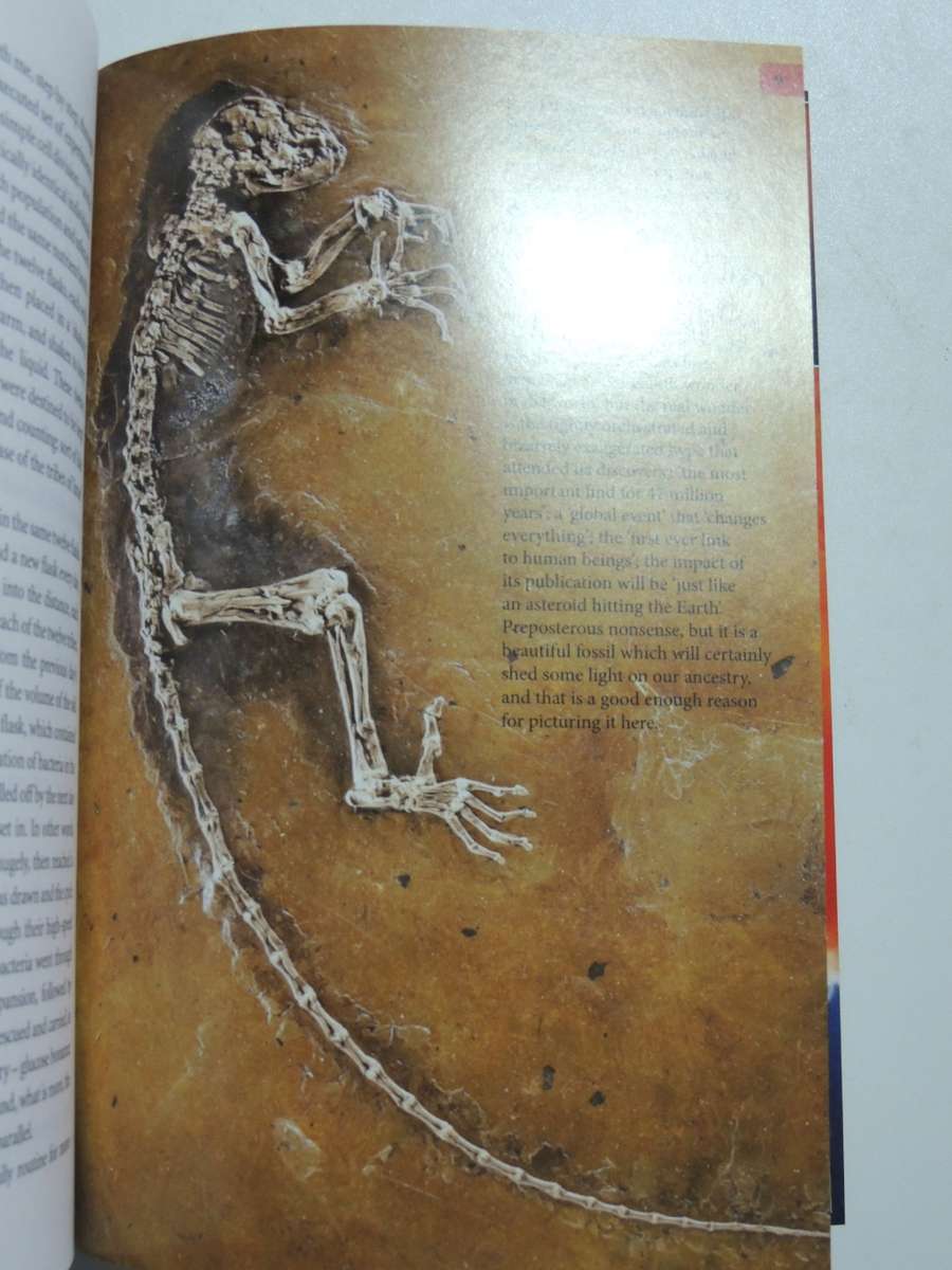 The Greatest Show on Earth, The Evidence for Evolution- Richard Dawkins  HARD COVER