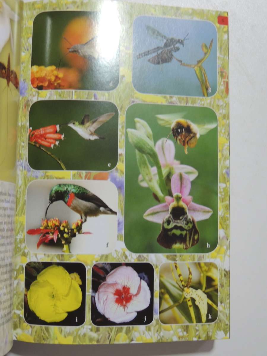 The Greatest Show on Earth, The Evidence for Evolution- Richard Dawkins  HARD COVER