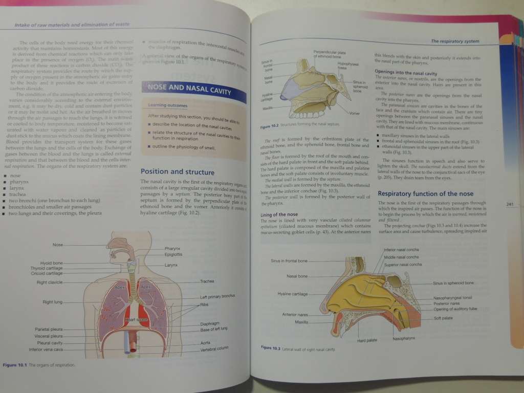 Anatomy & Physiology in Health & Illness 9th Ed. - Anne Waugh, A Grant, Ross & Wilson