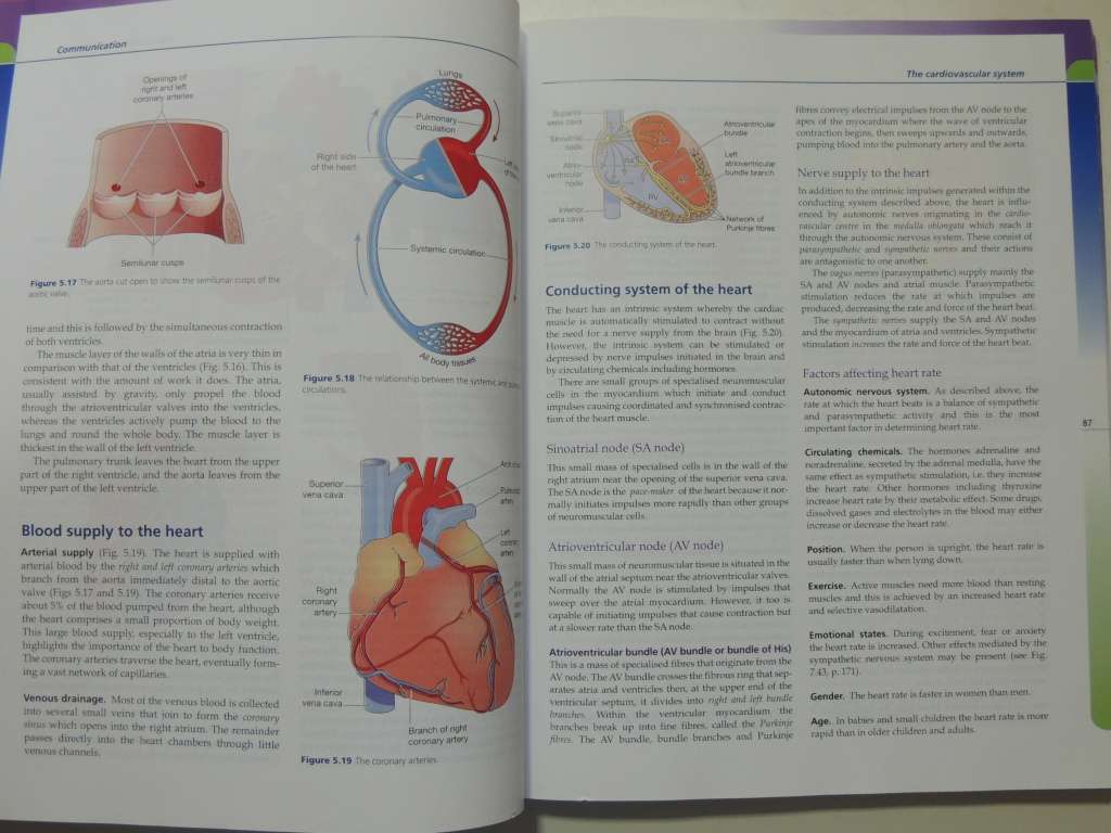 Anatomy & Physiology in Health & Illness 9th Ed. - Anne Waugh, A Grant, Ross & Wilson