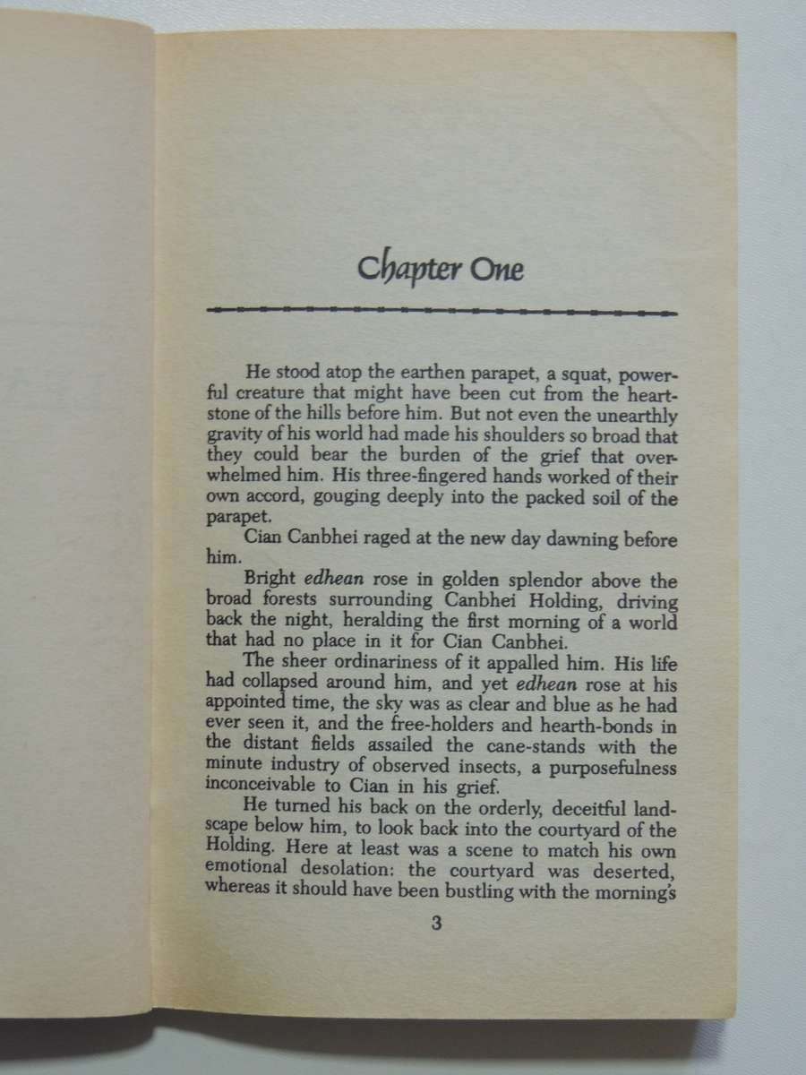 Flight of Honour - Far Stars and Future Times Book 2 - Richard S Mcenroe