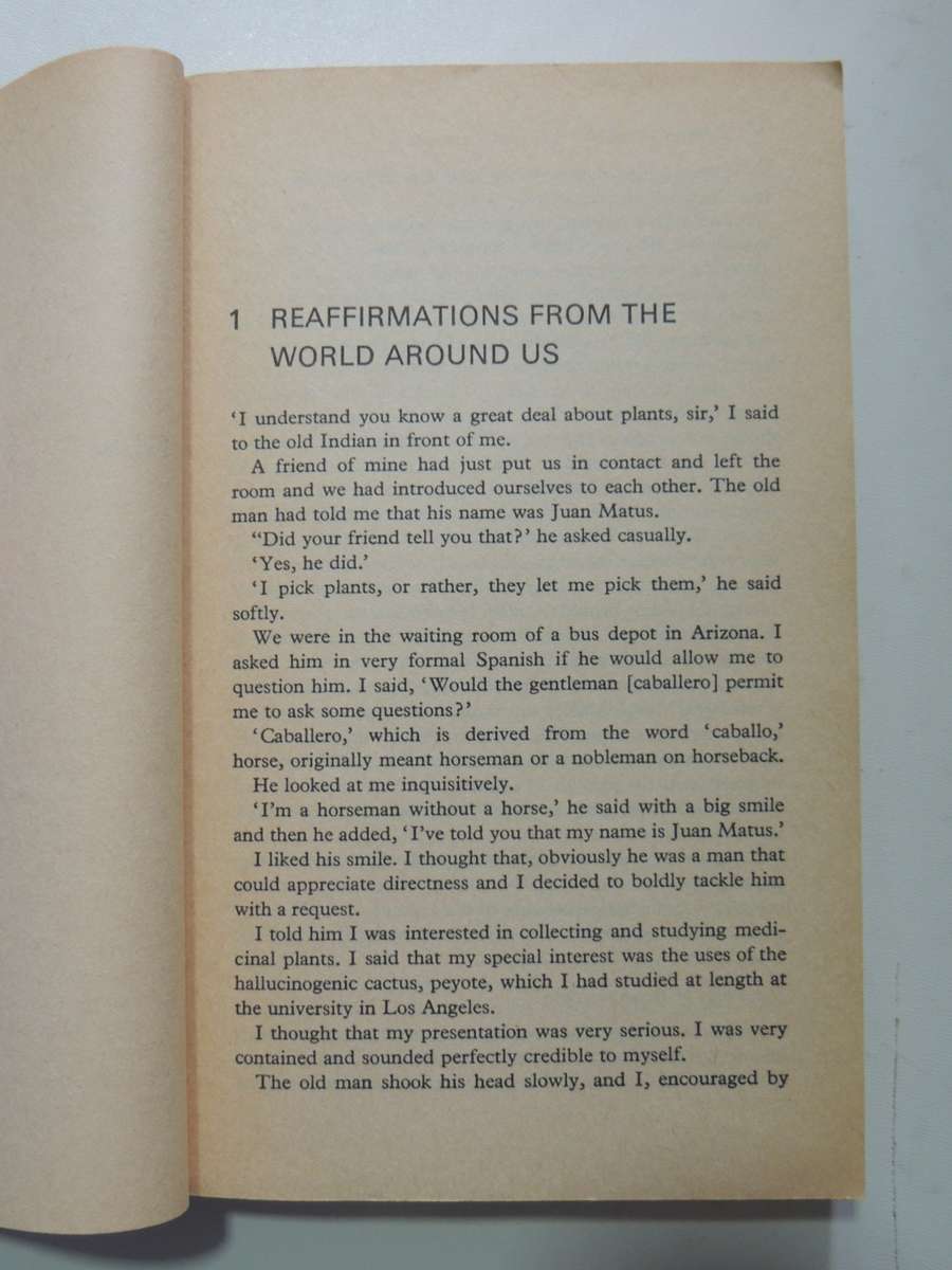 Journey To Ixtlan - The Lessons Of Don Juan - Carlos Castaneda