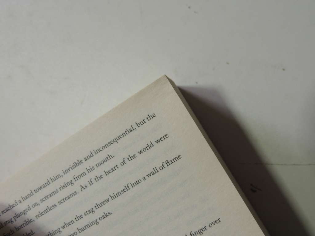 Kingdom Of Ash - The Throne Of Glass Vol 8- Sarah J. Maas