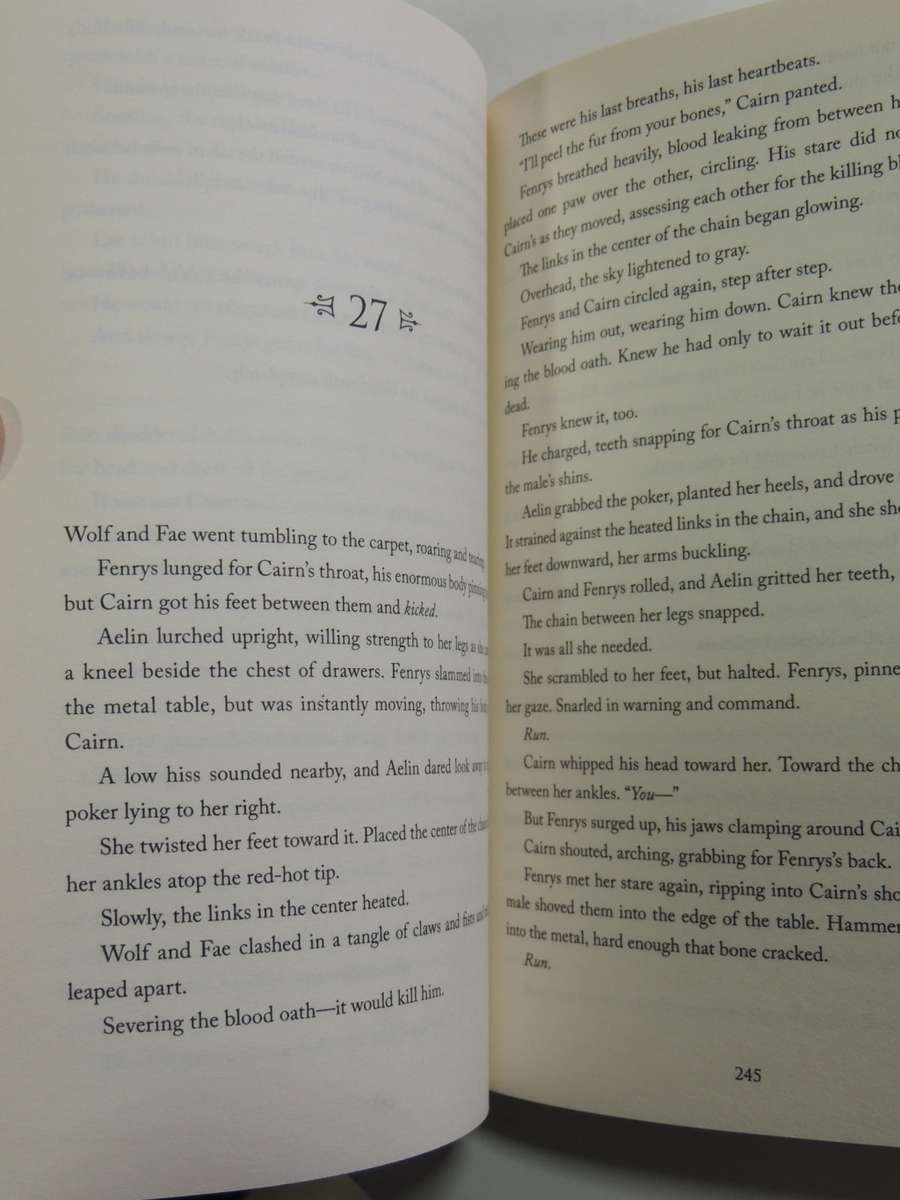 Kingdom Of Ash - The Throne Of Glass Vol 8- Sarah J. Maas