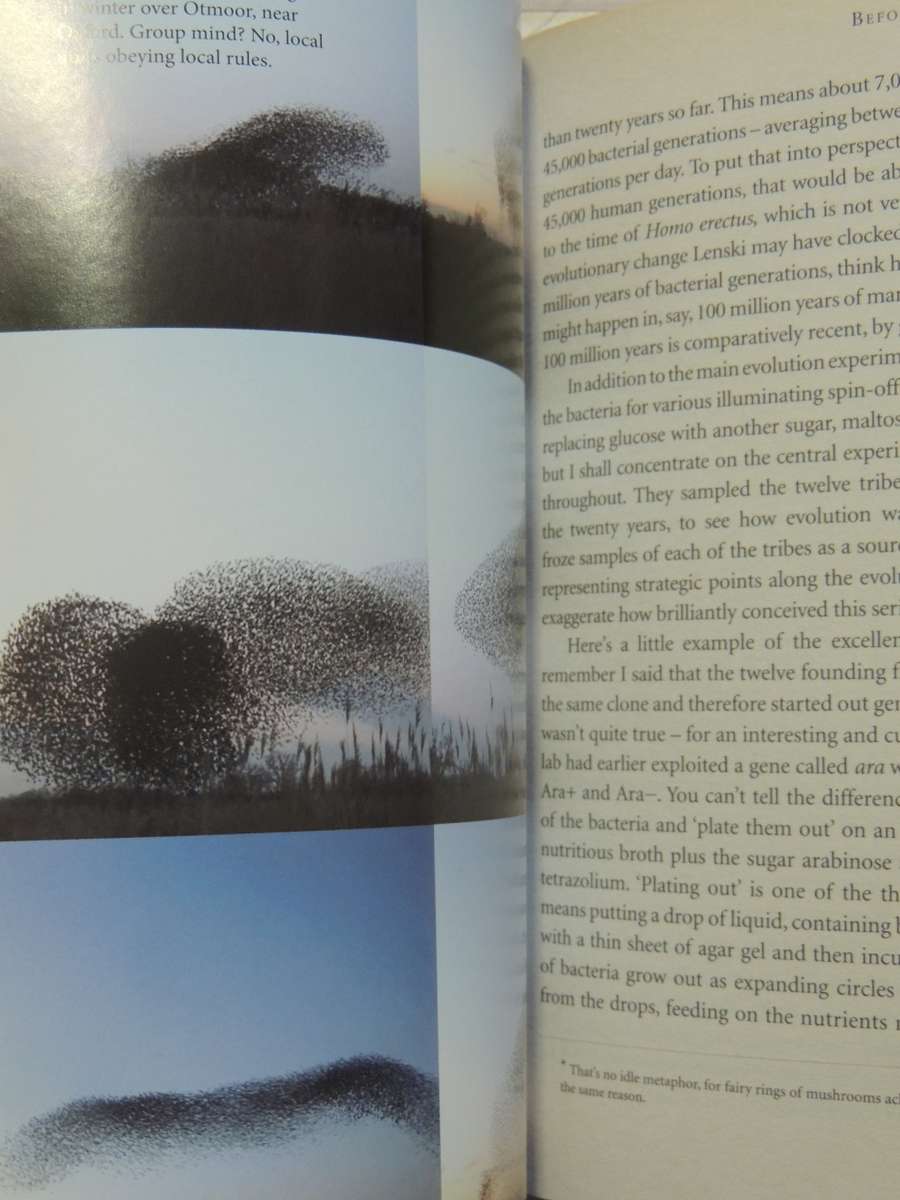 The Greatest Show On Earth - The Evidence For Evolution - Richard Dawkins