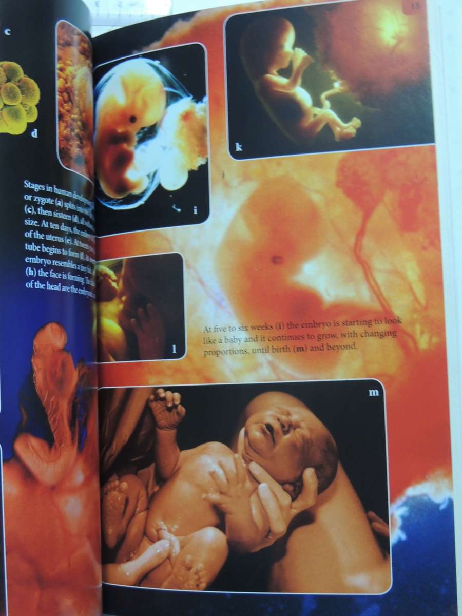 The Greatest Show On Earth - The Evidence For Evolution - Richard Dawkins