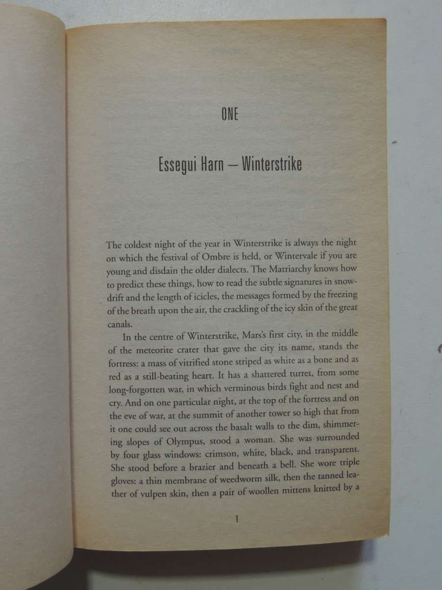 Winterstrike  - Liz Williams