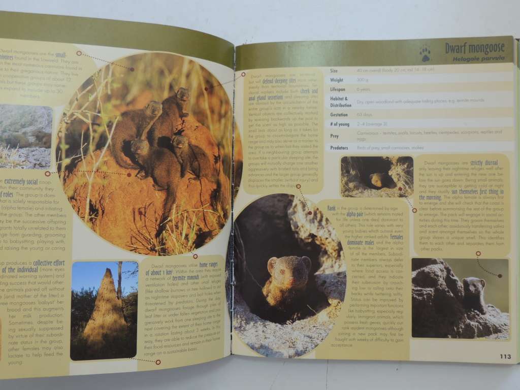 Game Ranger In Your Backpack, All-In-One Interpretative Guide To Lowveld -Megan Emmett, Sean Pattric