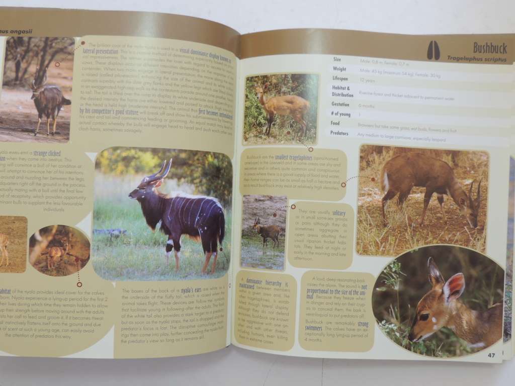 Game Ranger In Your Backpack, All-In-One Interpretative Guide To Lowveld -Megan Emmett, Sean Pattric