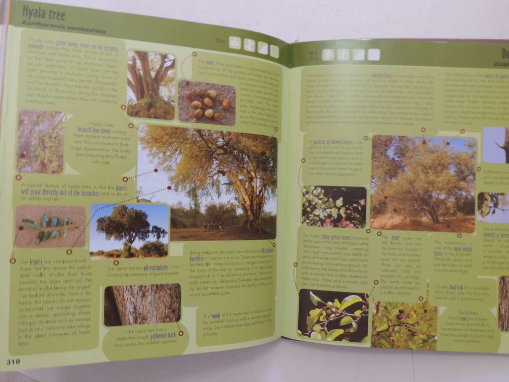 Game Ranger In Your Backpack, All-In-One Interpretative Guide To Lowveld -Megan Emmett, Sean Pattric