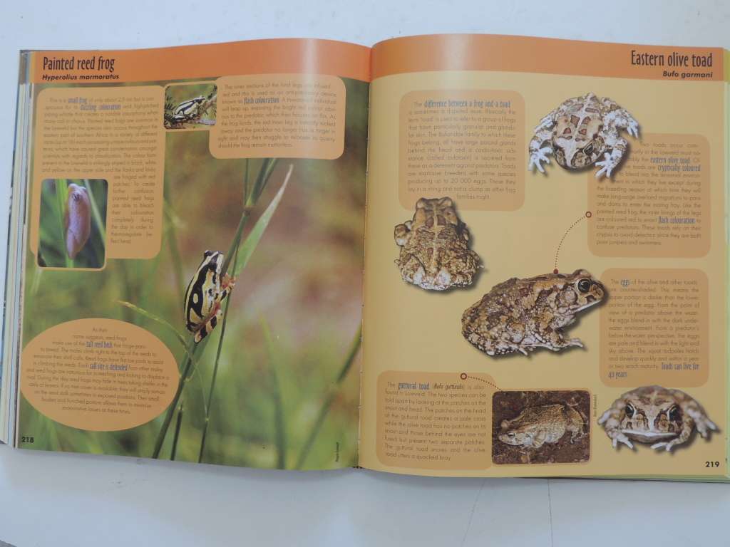 Game Ranger In Your Backpack, All-In-One Interpretative Guide To Lowveld -Megan Emmett, Sean Pattric