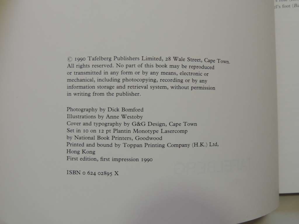 Say It With Sugar - Kate Venter