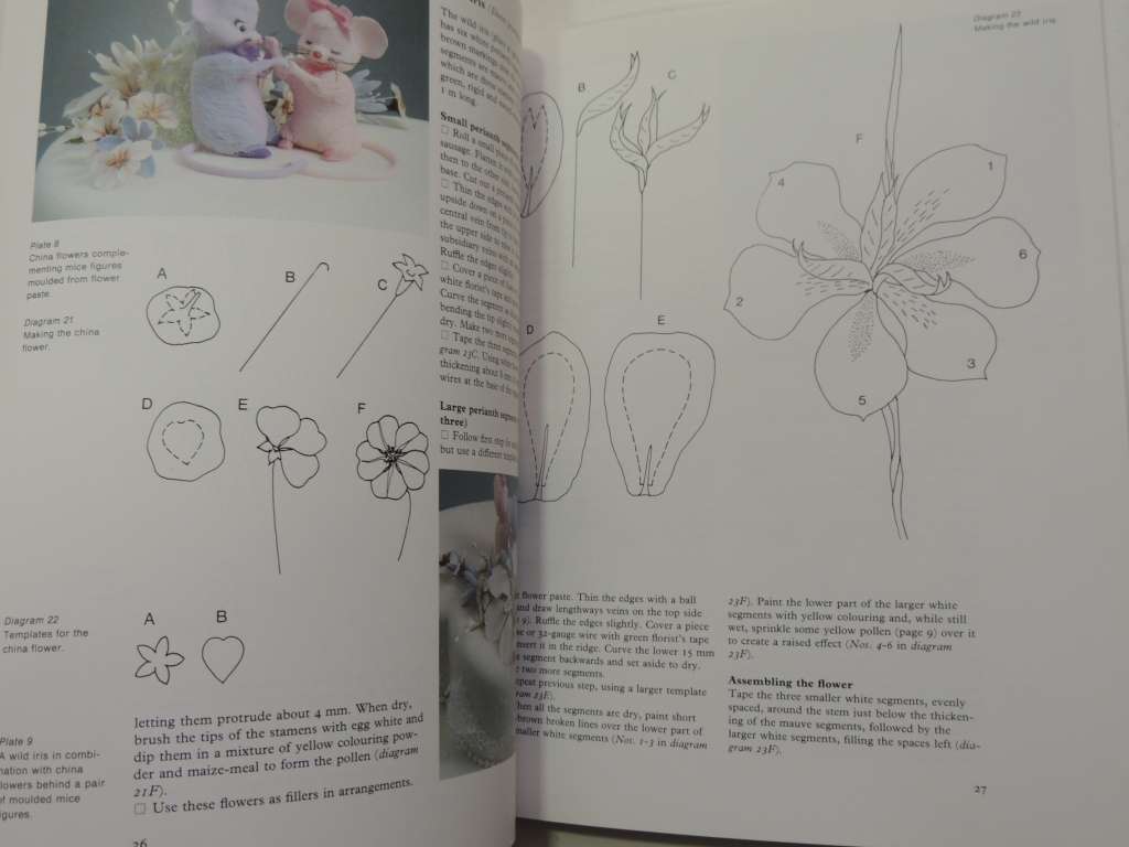 Say It With Sugar - Kate Venter