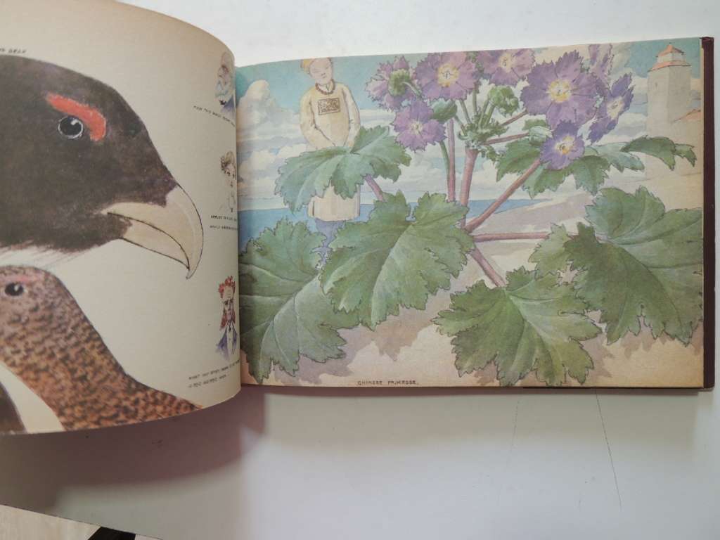 The Doyle Diary - The Last Great Conan Doyle Mystery- Michael Baker