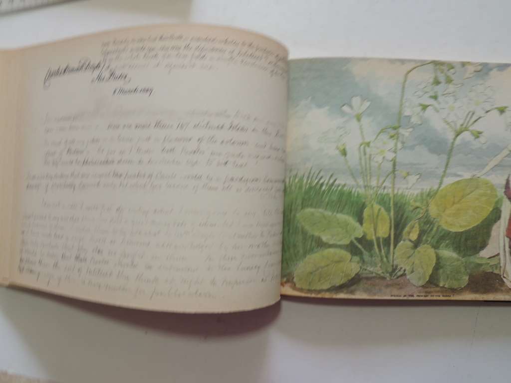 The Doyle Diary - The Last Great Conan Doyle Mystery- Michael Baker