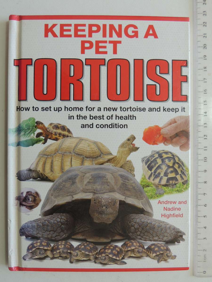Keeping A Pet Tortoise - Andrew & Nadine Highfield