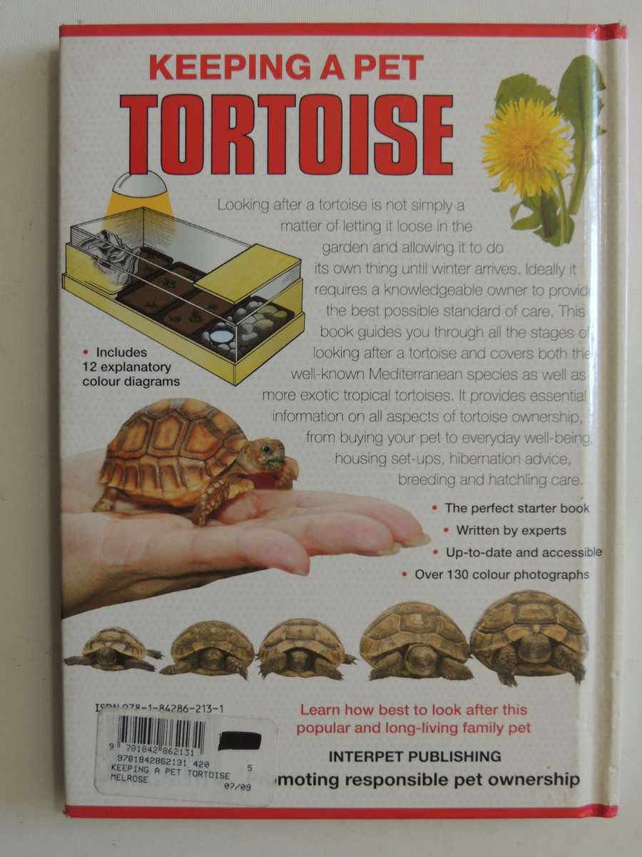 Keeping A Pet Tortoise - Andrew & Nadine Highfield