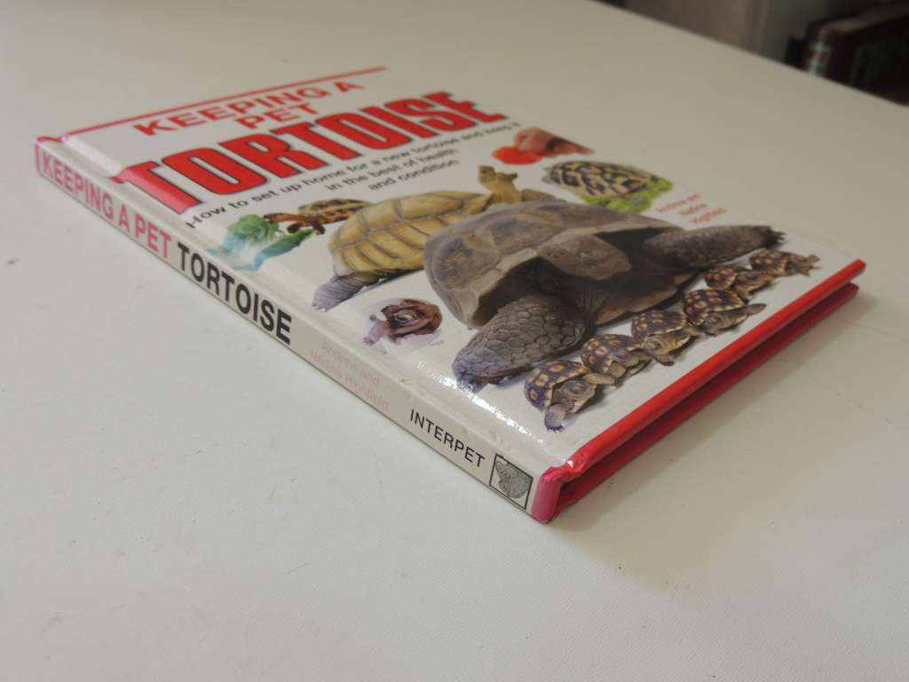 Keeping A Pet Tortoise - Andrew & Nadine Highfield