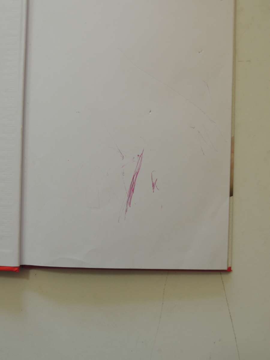 Keeping A Pet Tortoise - Andrew & Nadine Highfield