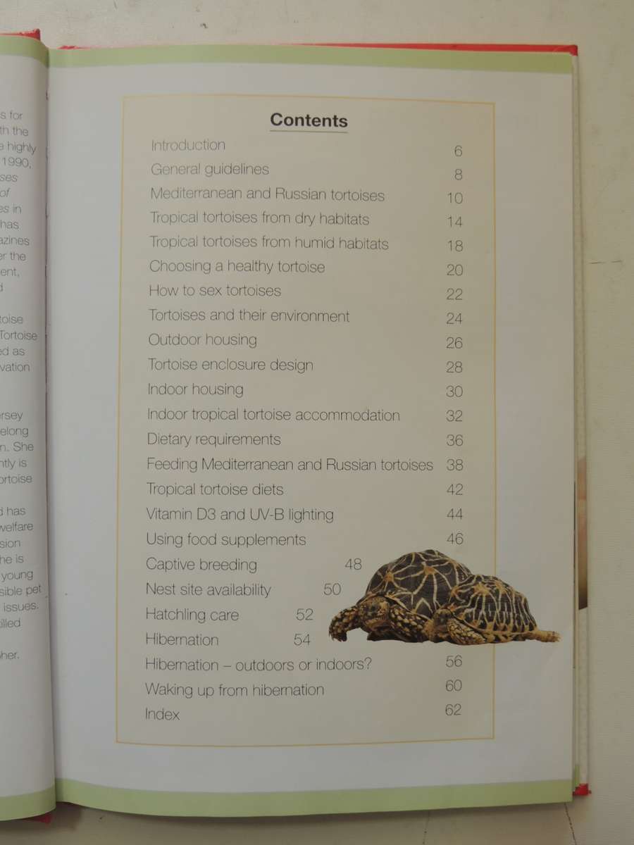 Keeping A Pet Tortoise - Andrew & Nadine Highfield
